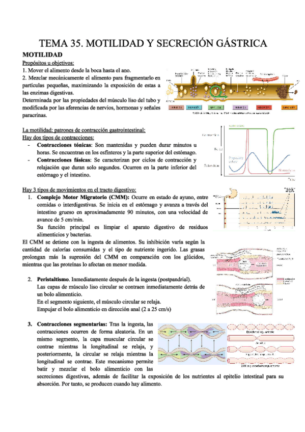 Miniatura del documento T35.-D.-FISIO-APUNTES.pdf
