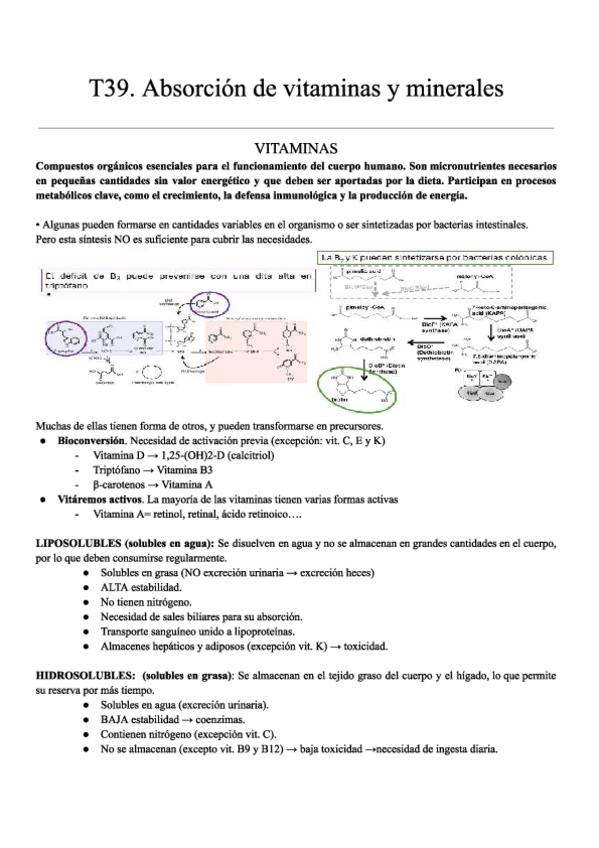 Miniatura del documento T39.-D.-FISIO-APUNTES.pdf