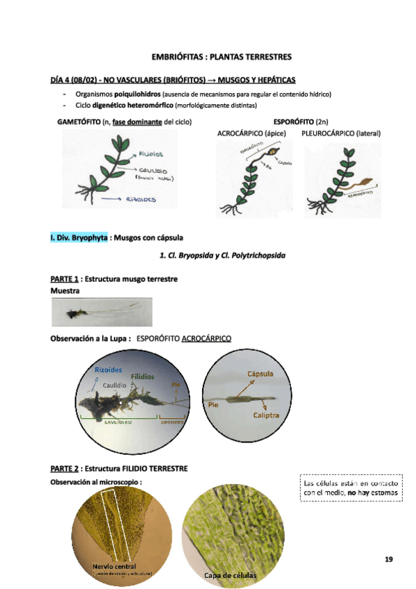 Miniatura del documento memoria-de-practicas-1.2.pdf