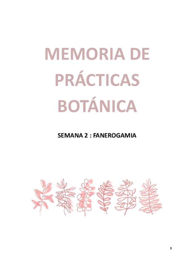 Miniatura del documento 2.-MEMORIA-DE-PRACTICAS.pdf
