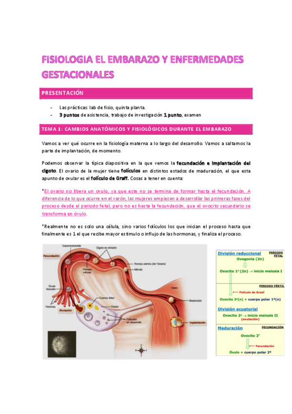 Miniatura del documento FEEGCOMPLETO.pdf