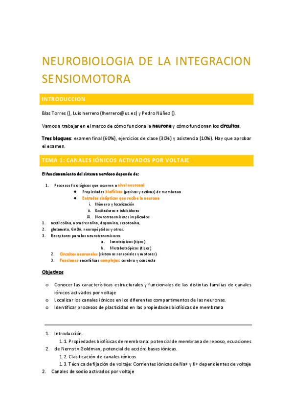 Miniatura del documento NIS-TEMARIO-COMPLETO.pdf