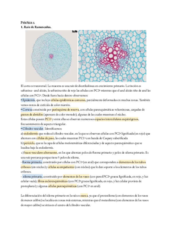 Miniatura del documento Apuntes-de-practicas-completos.pdf