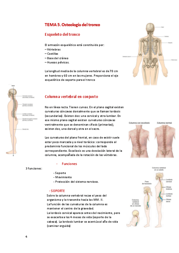 Miniatura del documento Bloque-2-Tronco.pdf