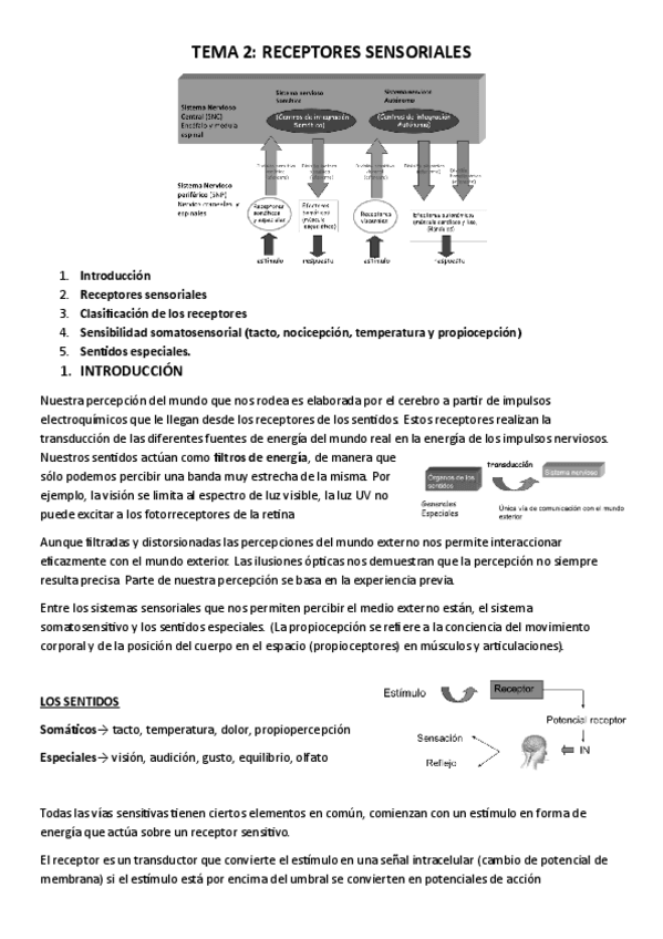 Miniatura del documento TEMA-2.pdf