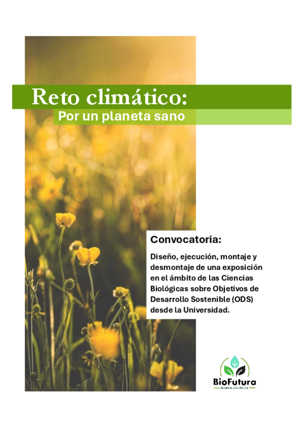 Miniatura del documento Ejemplo-Proyecto-ODS.pdf