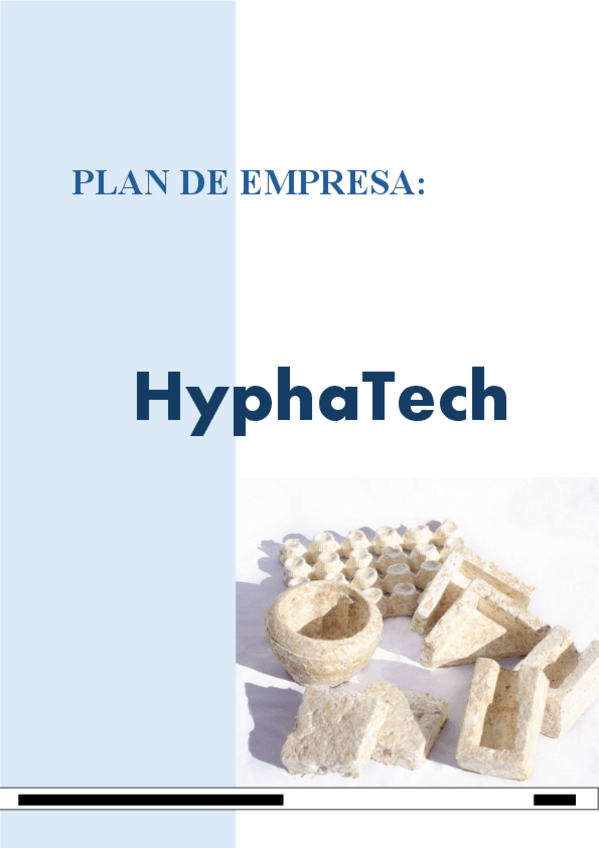 Miniatura del documento PLAN-DE-EMPRESA-EJEMPLO-HECHO.pdf