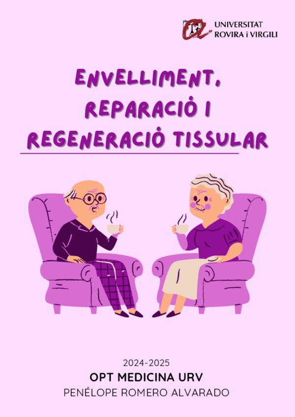 Miniatura del documento COMISION-ERRT-24-25.pdf