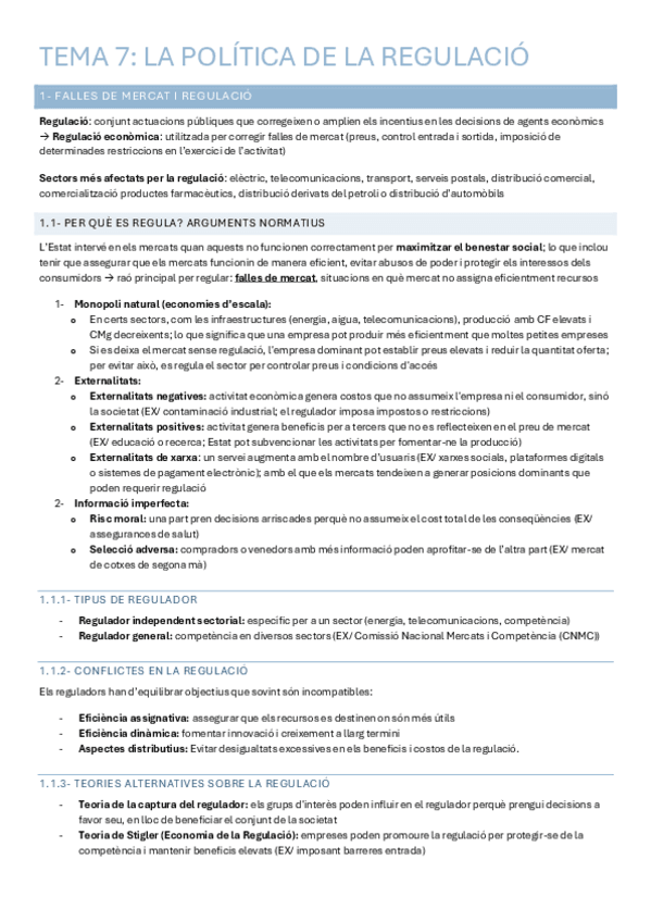 Miniatura del documento APUNTS-FINAL.pdf