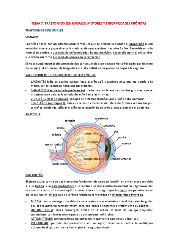 Miniatura del documento TEMA-7-trastornos-sensoriales.pdf