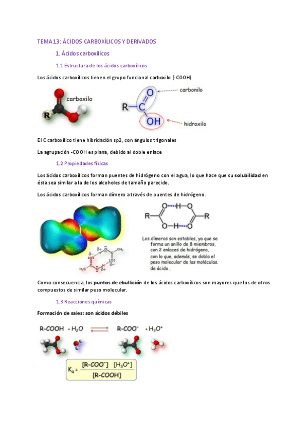 Miniatura del documento Quimica-Organica-T13.pdf