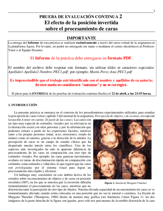 Miniatura del documento PEC-2-Reconocimiento-de-caras-2025v1-1.pdf