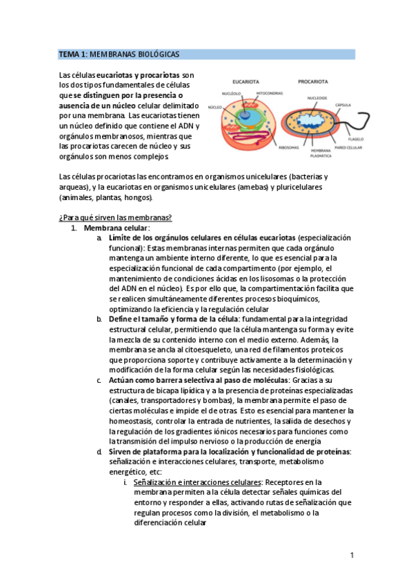 Miniatura del documento TEMA-1.pdf