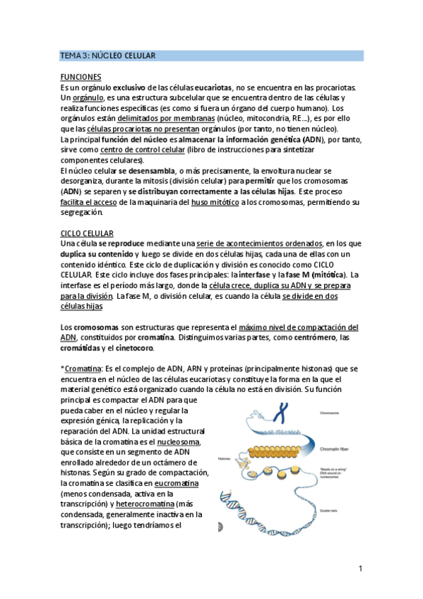 Miniatura del documento TEMA-3.pdf