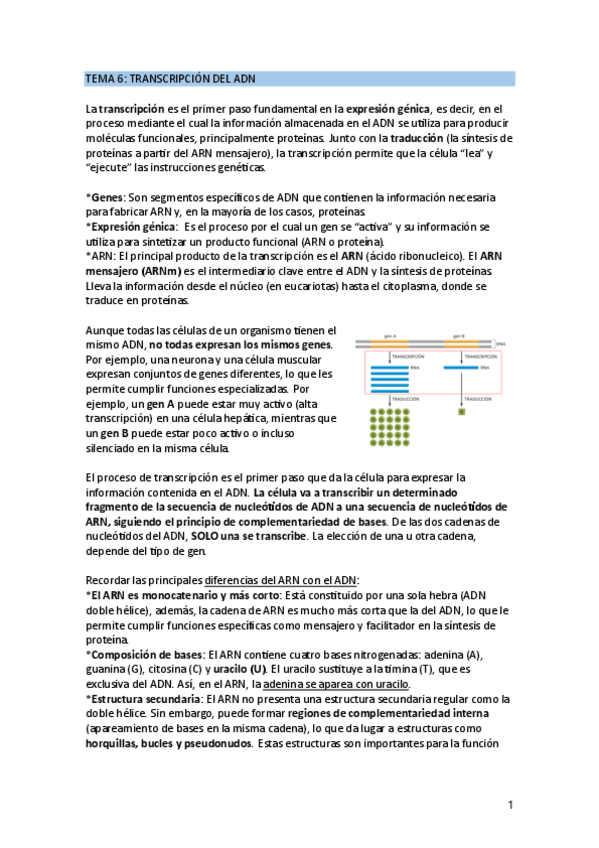 Miniatura del documento TEMA-6.pdf