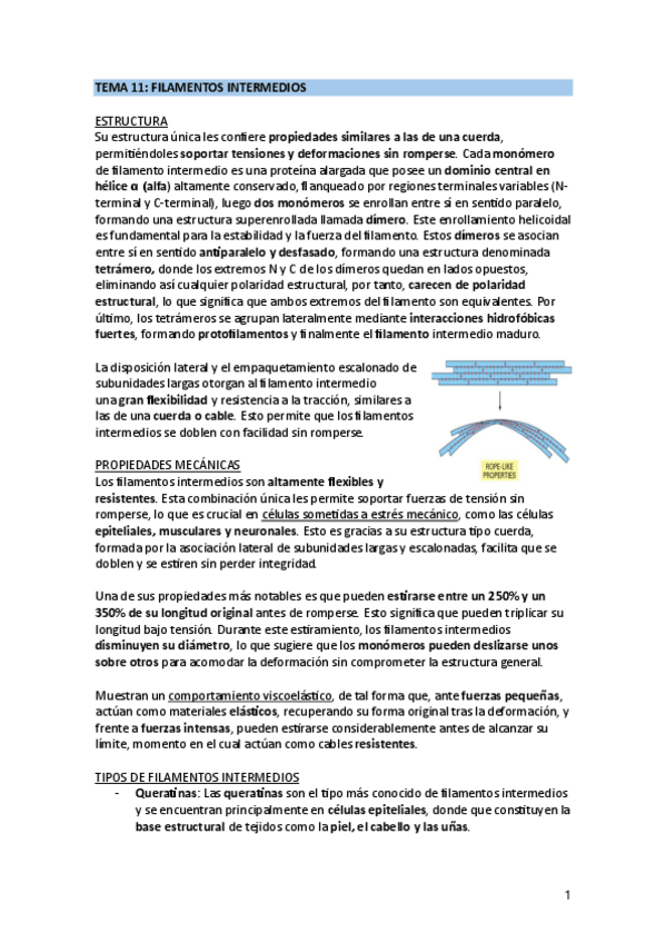 Miniatura del documento TEMA-11.pdf