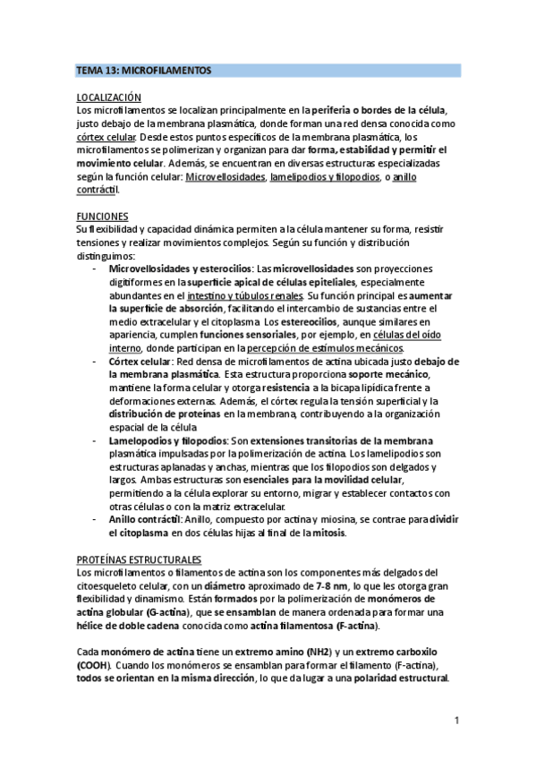 Miniatura del documento TEMA-13.pdf