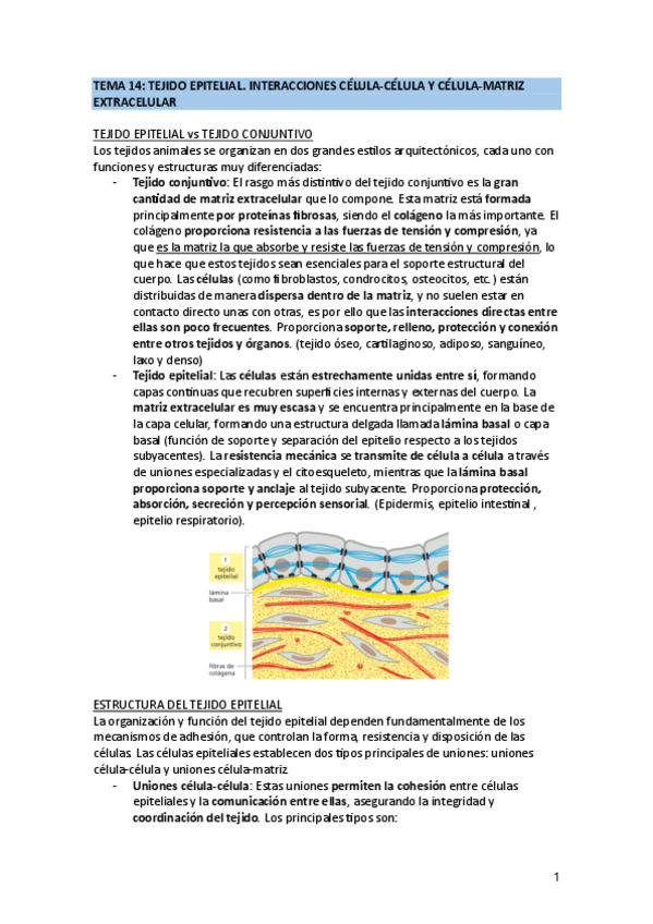 Miniatura del documento TEMA-14.pdf