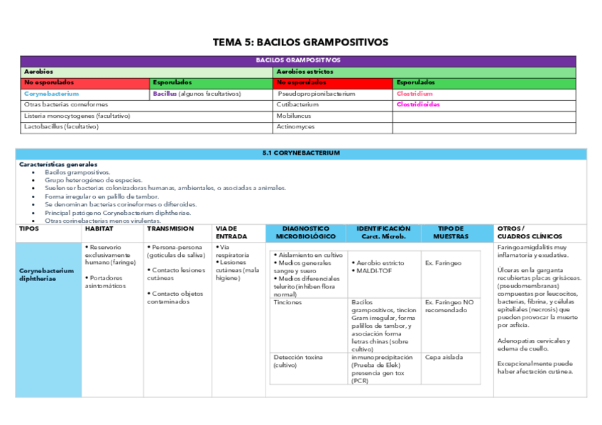 Miniatura del documento TEMA-5-TABLA-BACILOS-GRAM-.pdf