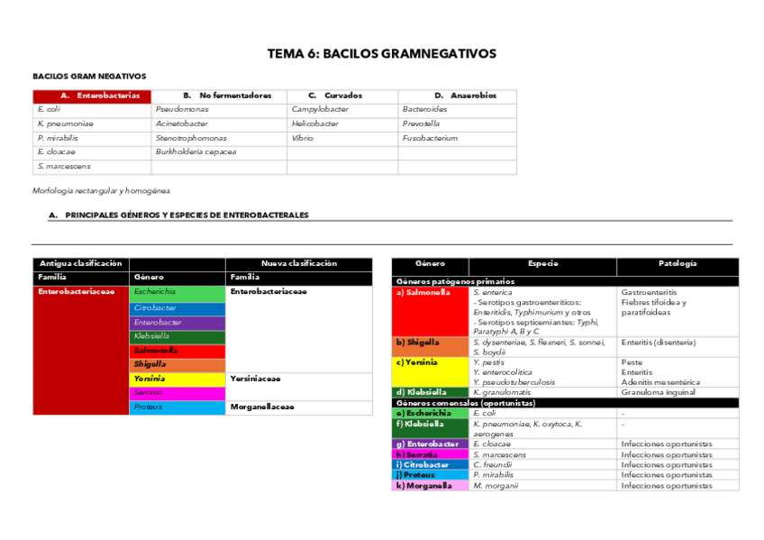 Miniatura del documento TEMA-6-TABLA-BACILOS-GRAM-.pdf