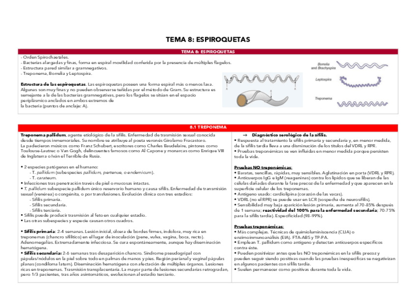 Miniatura del documento TEMA-8-TABLA-ESPIROQUETAS.pdf
