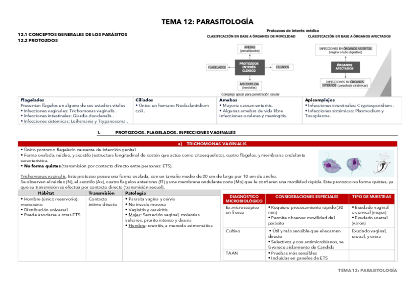 Miniatura del documento TEMA-12-TABLA-PARASITOLOGIA.pdf