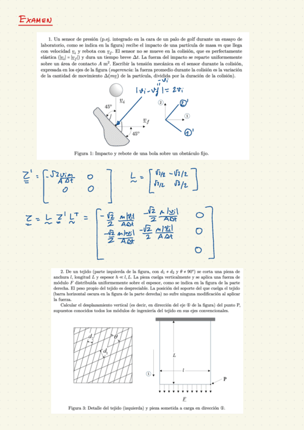 Miniatura del documento Examen-Enero-2025.pdf