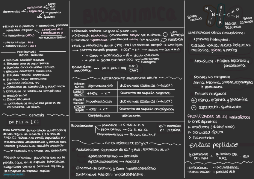 Miniatura del documento Resumenes-1-parte-bioquimica.pdf