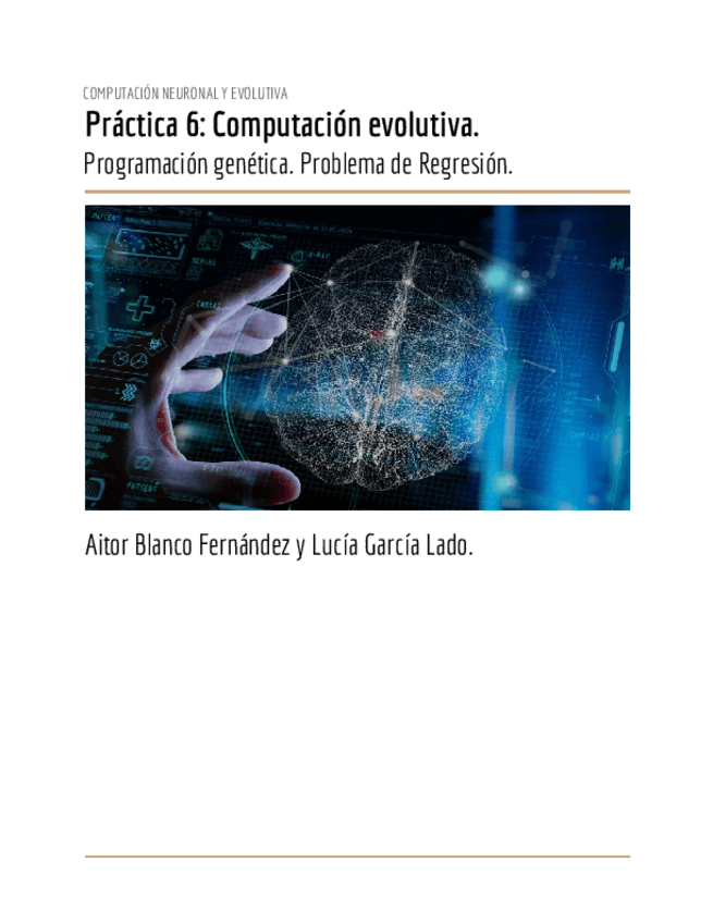 Miniatura del documento ComputacionEvolutivaPractica6.pdf