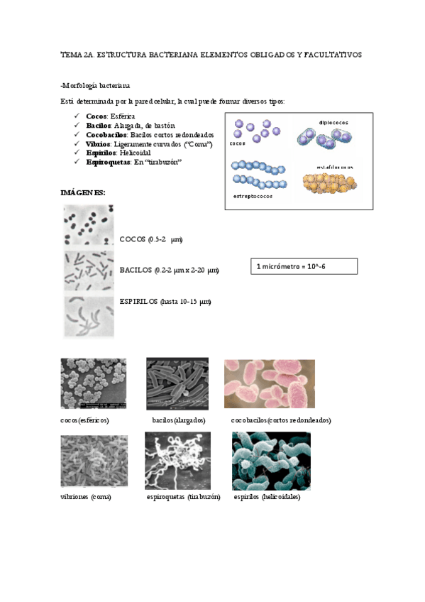 Miniatura del documento TEMA-2A.pdf