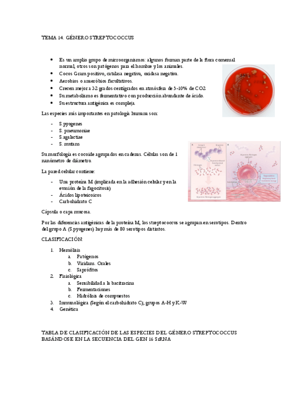 Miniatura del documento Tema-14.-Streptococcus.pdf