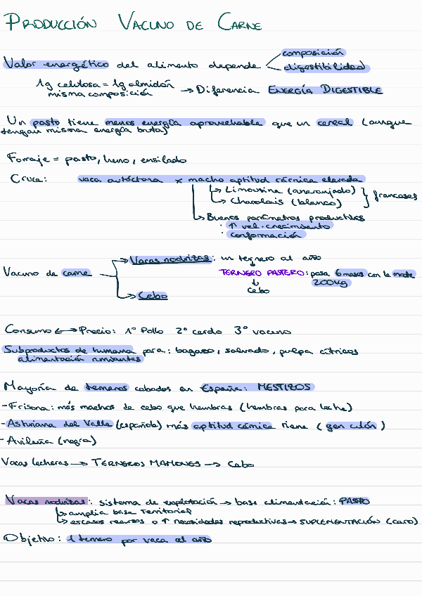Miniatura del documento Rumiantes.pdf