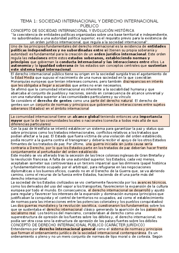Miniatura del documento TEMA-1-sociedad-internacional-y-concepto-de-derecho-internacional-publico.docx