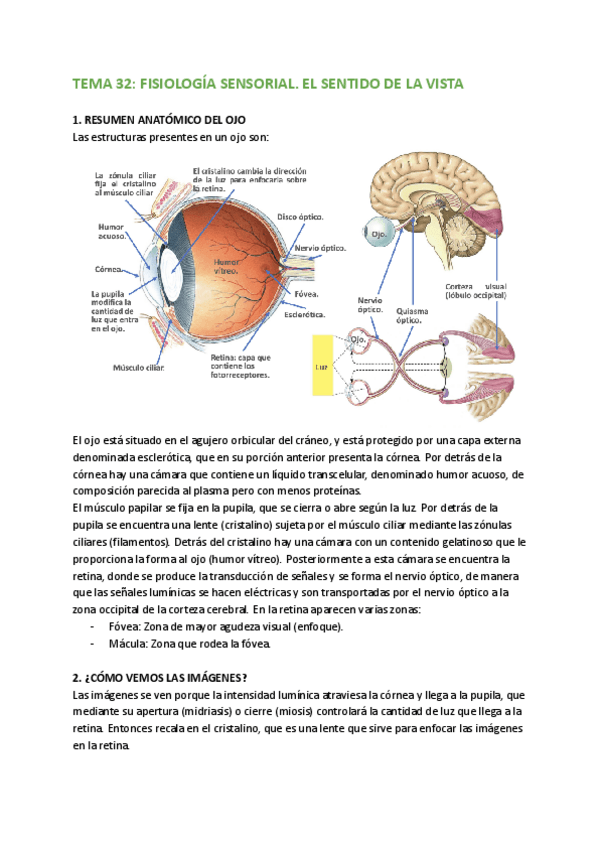 Miniatura del documento TEMAS-32-33-y-34.pdf