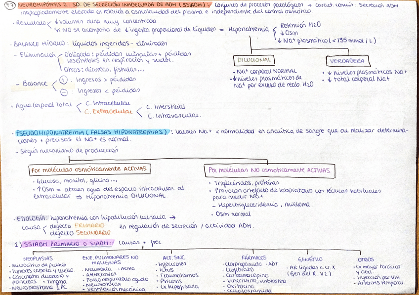 Miniatura del documento Tema-7-endocrino.pdf