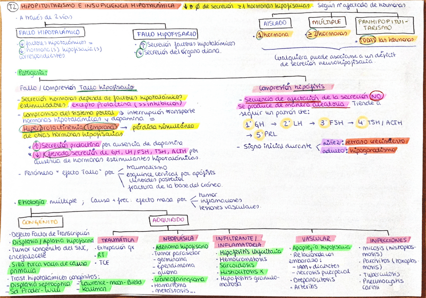 Miniatura del documento Tema-2-endocrino.pdf
