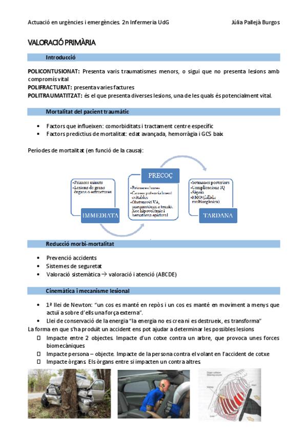 Miniatura del documento T10Valoracio-primaria.pdf
