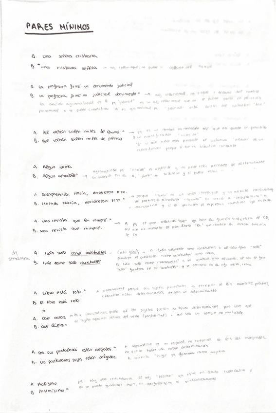 Miniatura del documento PARES-MINIMOS.pdf