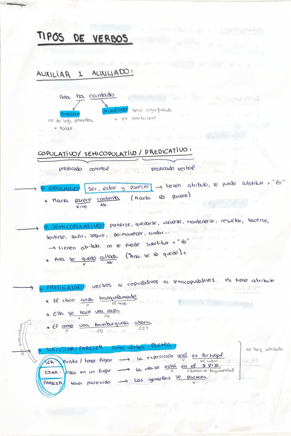 Miniatura del documento TIPOS-DE-VERBOS.pdf