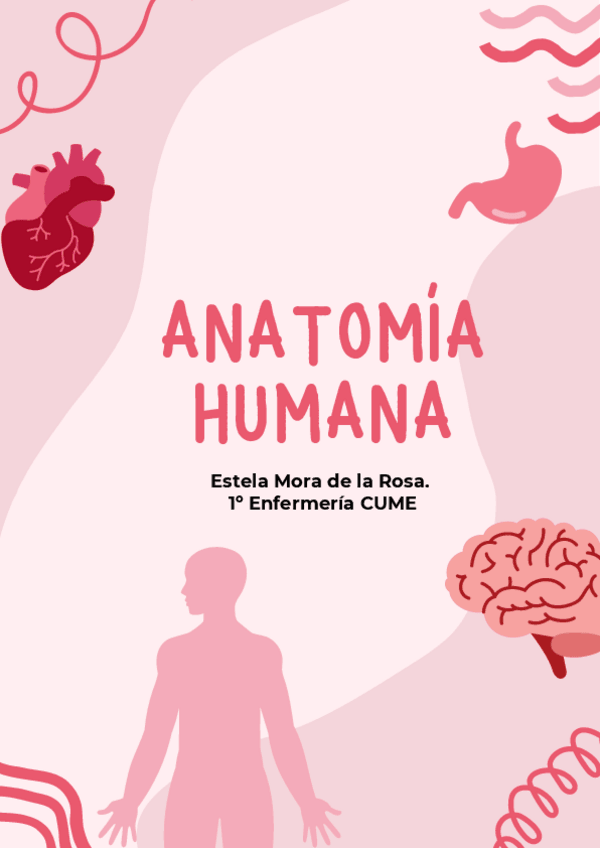 Miniatura del documento Resumen TEMARIO COMPLETO. Anatomía Valentina-humana..pdf