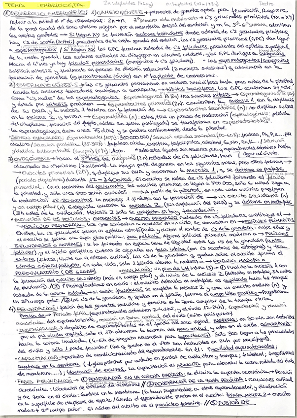 Miniatura del documento Embriologia.pdf