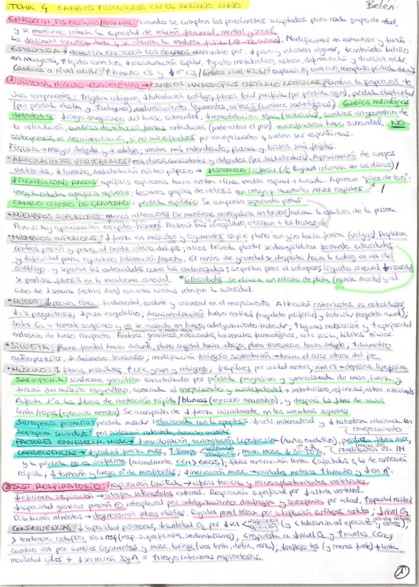 Miniatura del documento Vejez-Belen.pdf