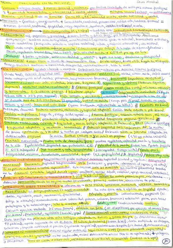 Miniatura del documento Vejez-Laura.pdf