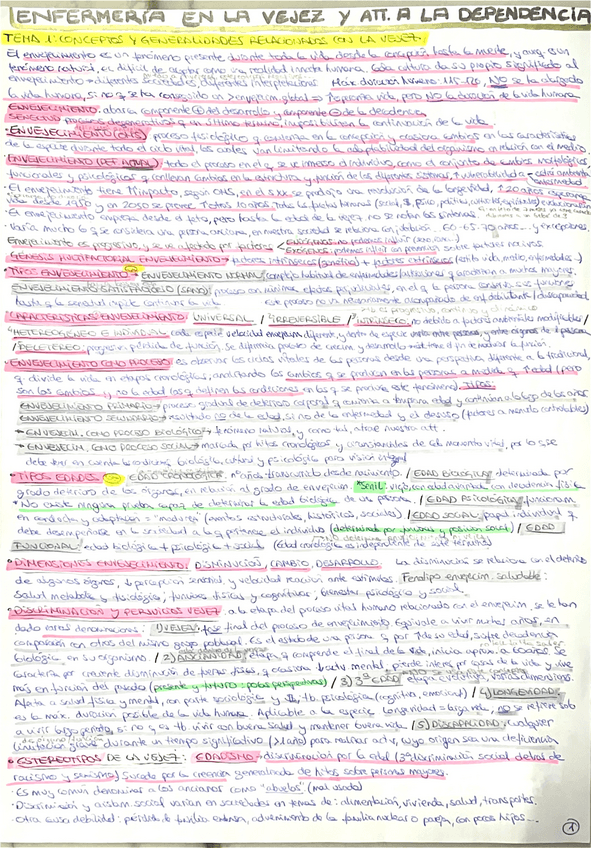 Miniatura del documento Vejez-Silvia.pdf