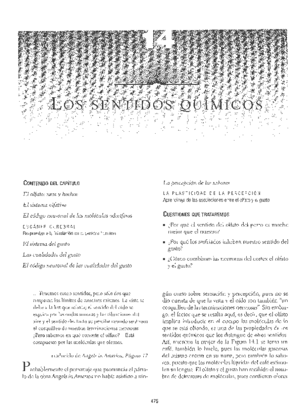Miniatura del documento Percepcions-quimiques-gust-i-olfacte.pdf