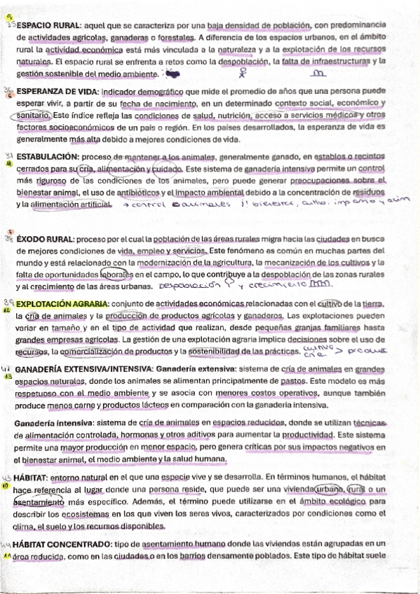 Miniatura del documento TERMINOS-GEOGRAFIA-geografia-humana-25.pdf