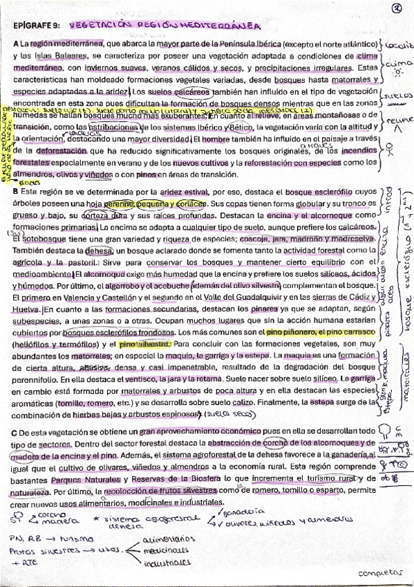 Miniatura del documento Epigrafes-910-y-11-GEOGRAFIA.pdf