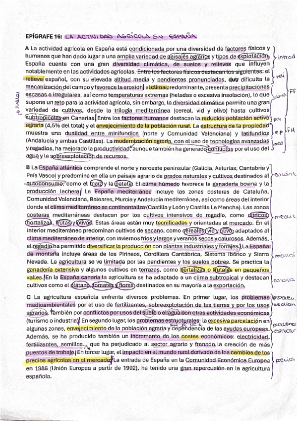 Miniatura del documento Epigrafes-16-y-17-GEOGRAFIA.pdf