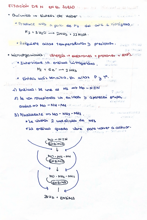 Miniatura del documento Preguntas-importantes.pdf
