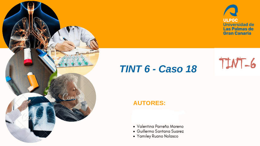 Miniatura del documento PRESENTACIONTINT.pdf